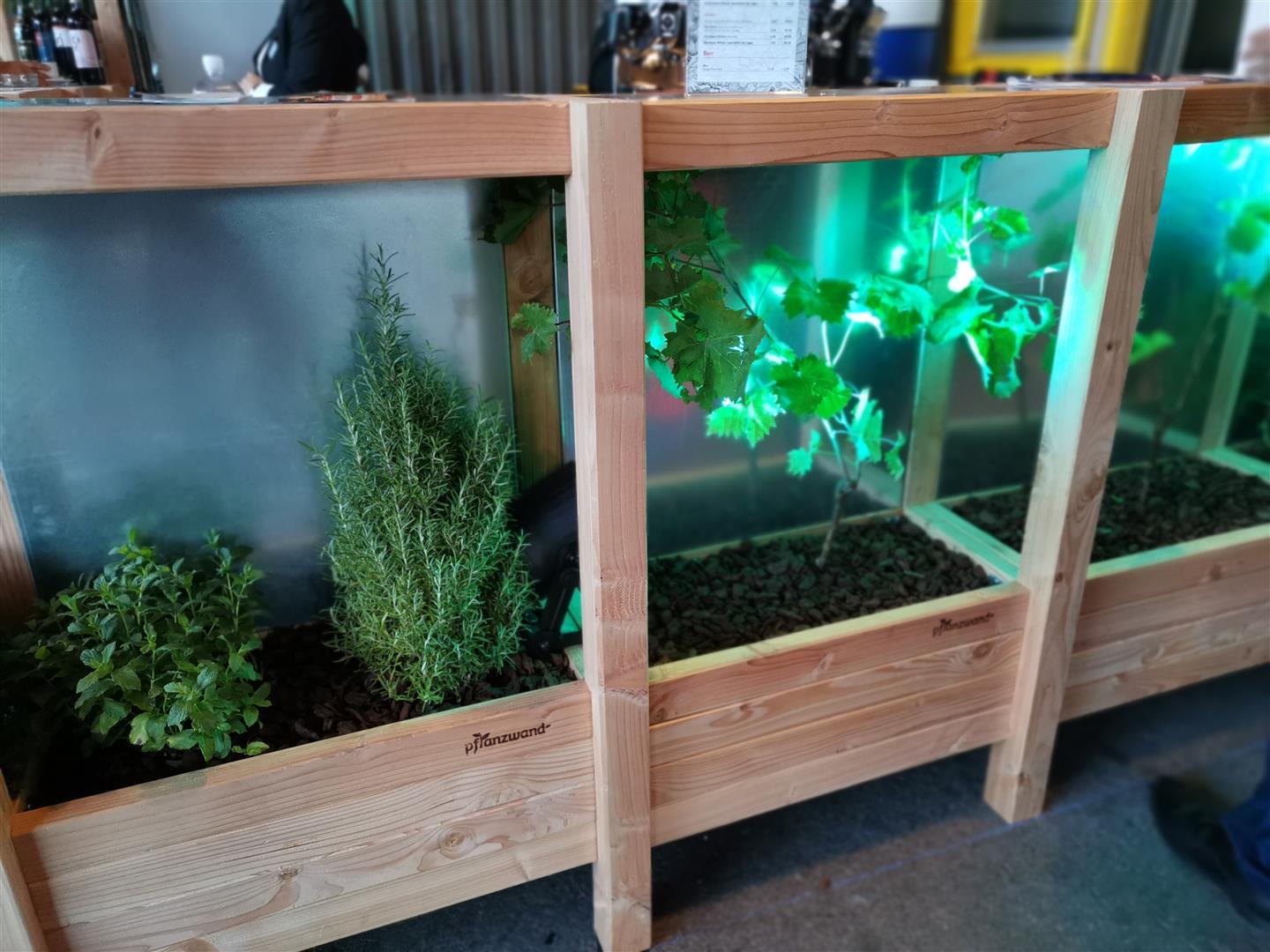 Hochbeet Pflanzwand